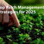 Top Patch Management Strategies for 2025